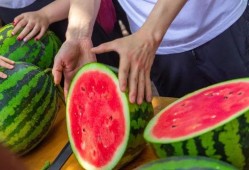 吃瓜长清大学体育生,校园生活新篇章